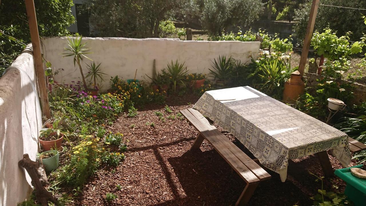 Petal House Villa Beirã Eksteriør billede